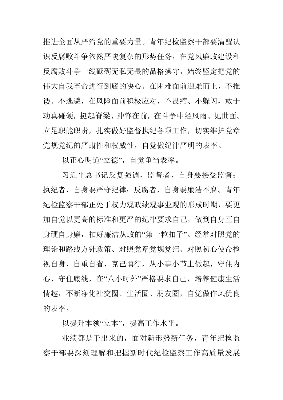 2023年年轻干部参加纪检监察干部队伍教育整顿学习感悟.docx_第2页