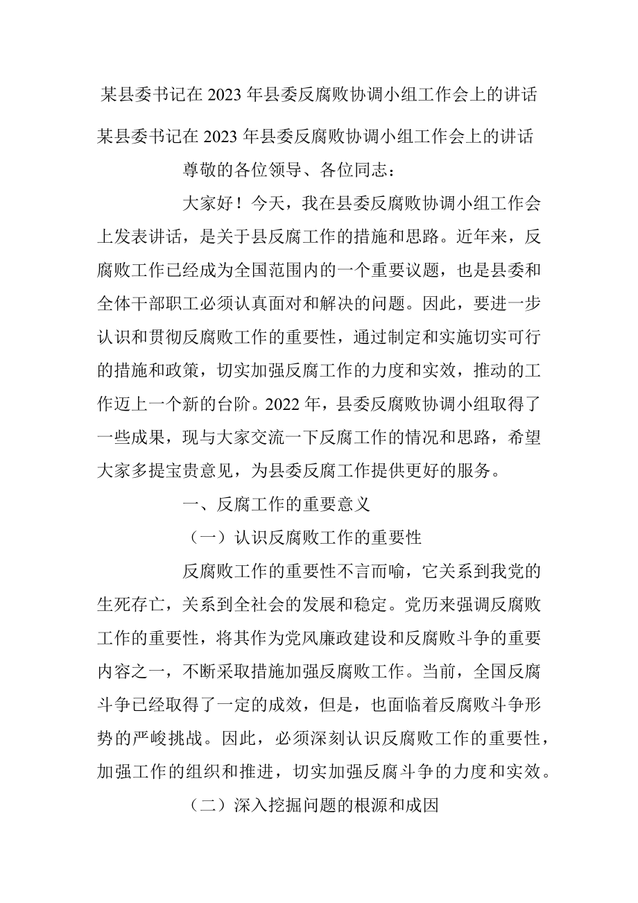 某县委书记在2023年县委反腐败协调小组工作会上的讲话.docx_第1页