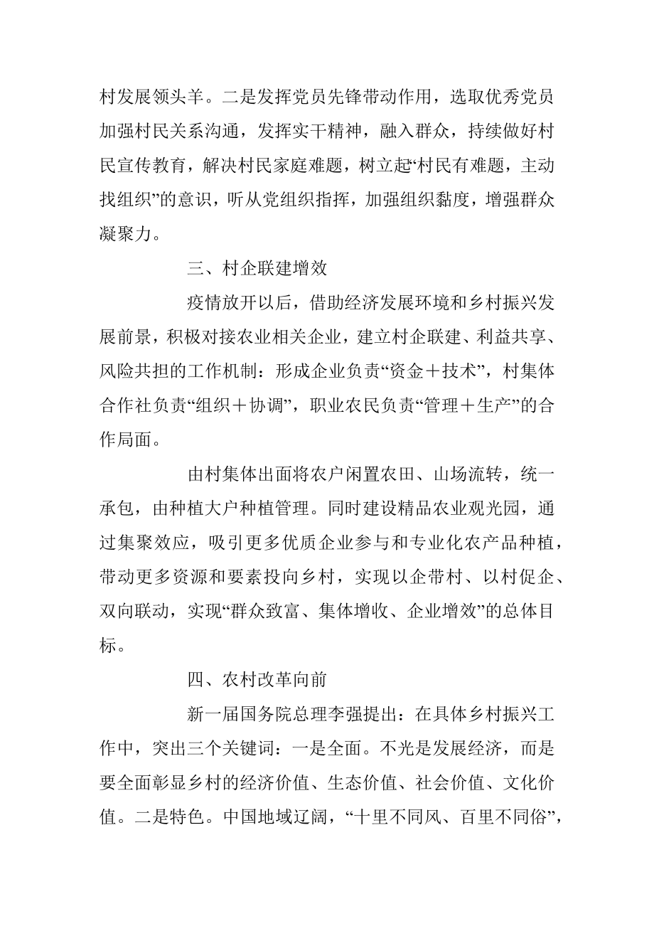 全面推进乡村振兴实现农业农村现代化.docx_第3页