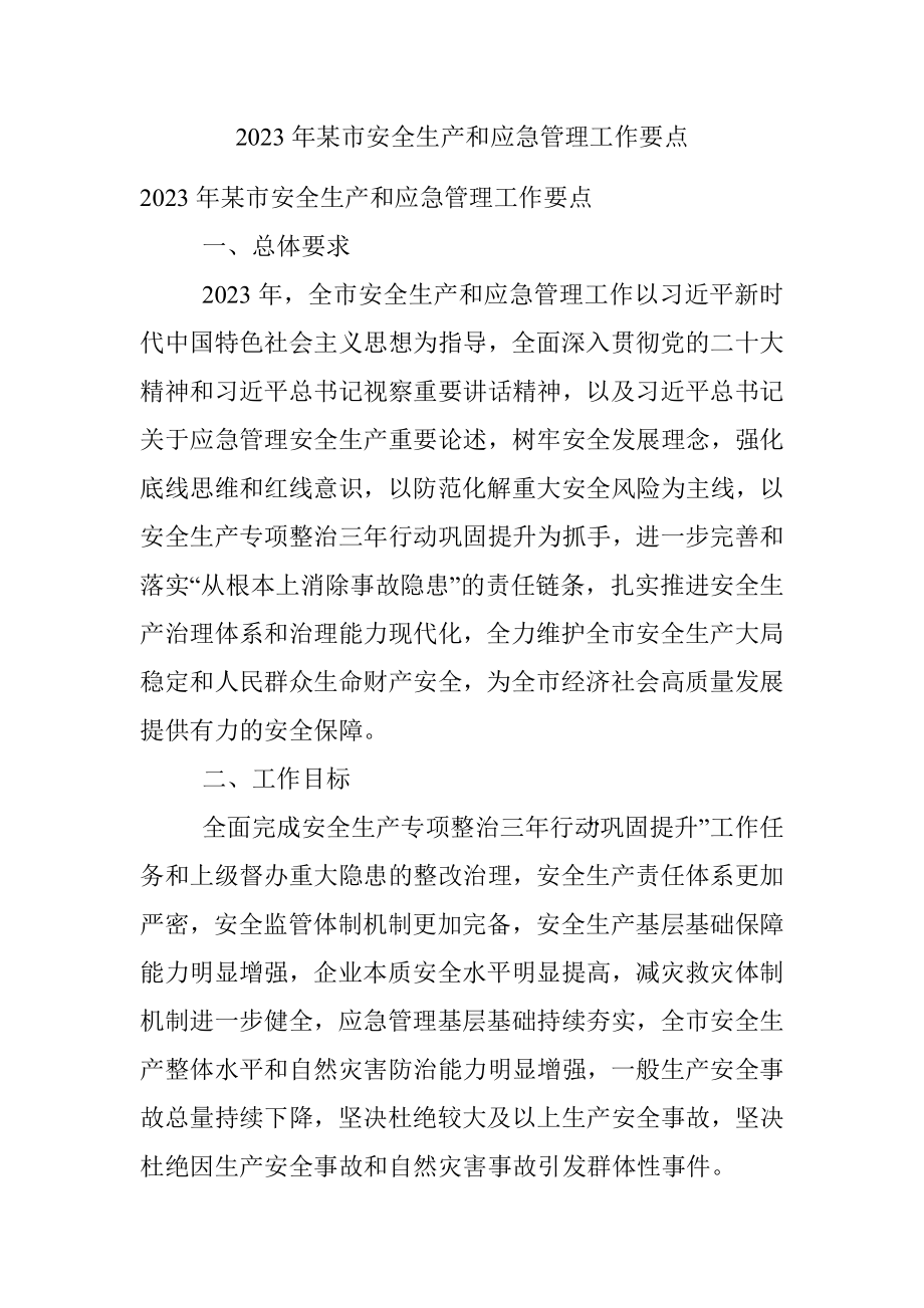 2023年某市安全生产和应急管理工作要点.docx_第1页