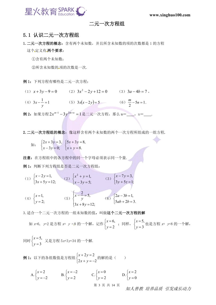 初三数学 第14讲（2）+初三专题复习二元一次方程组基本解法 寒假.doc_第3页