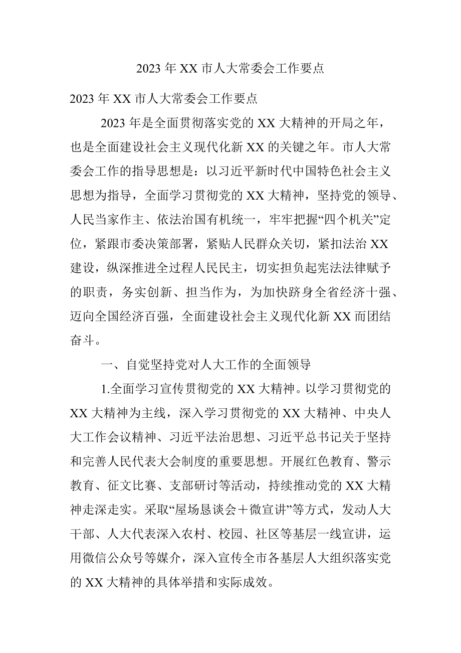 2023年XX市人大常委会工作要点.docx_第1页