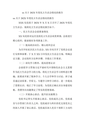 xx关于202X年度民主生活会情况的报告.docx