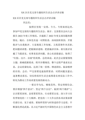 XX区在党支部专题组织生活会点评讲话稿.docx