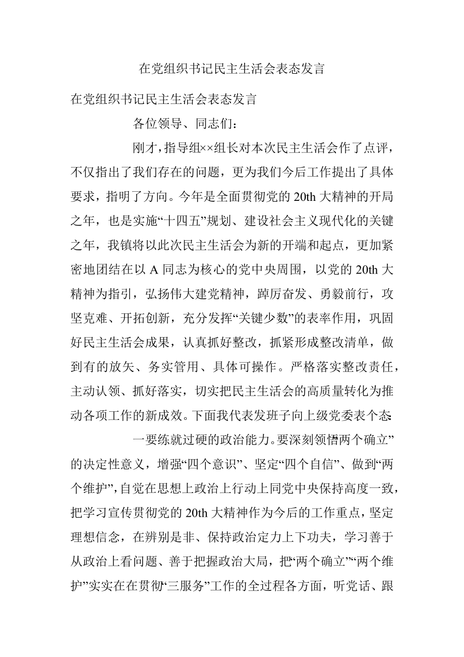 在党组织书记民主生活会表态发言.docx_第1页