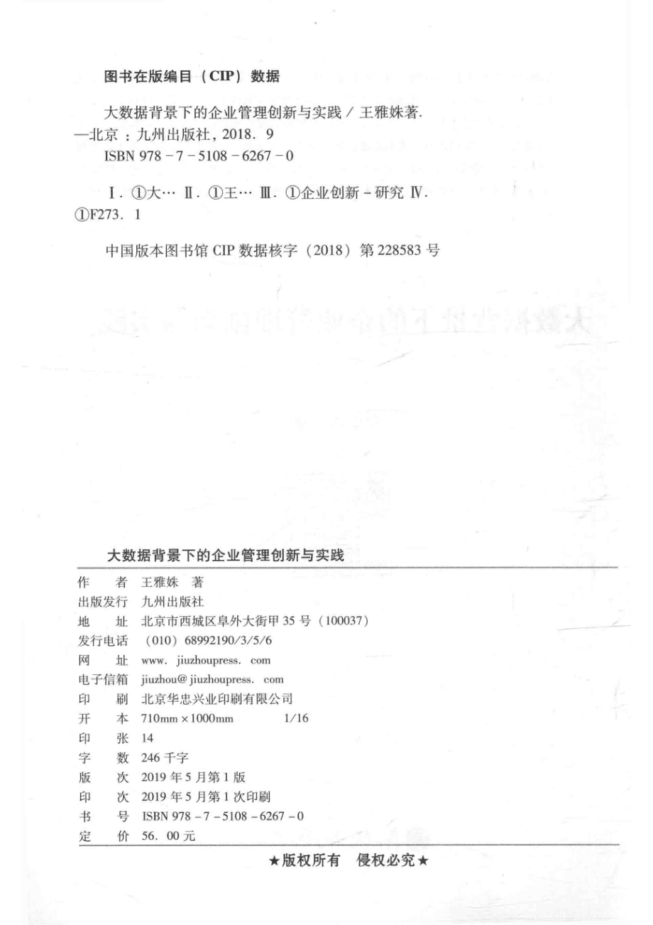 大数据背景下的企业管理创新与实践_王雅姝著.pdf_第3页