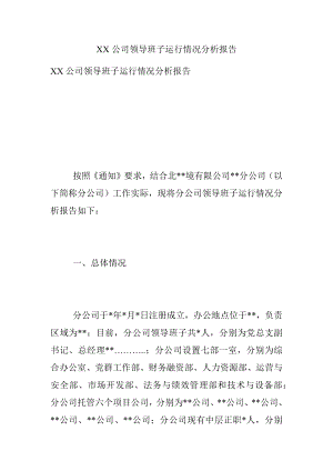 XX公司领导班子运行情况分析报告.docx