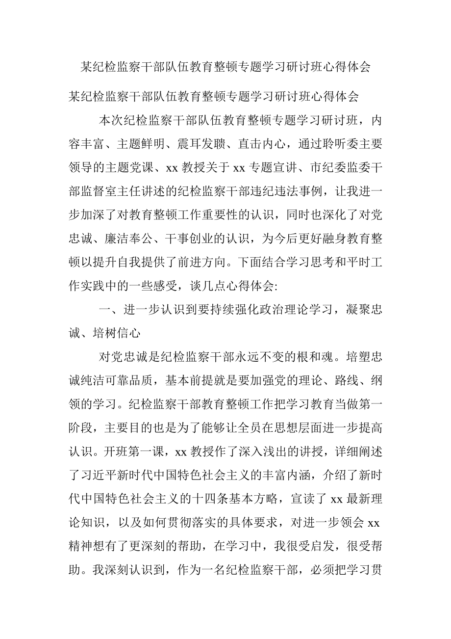 某纪检监察干部队伍教育整顿专题学习研讨班心得体会.docx_第1页