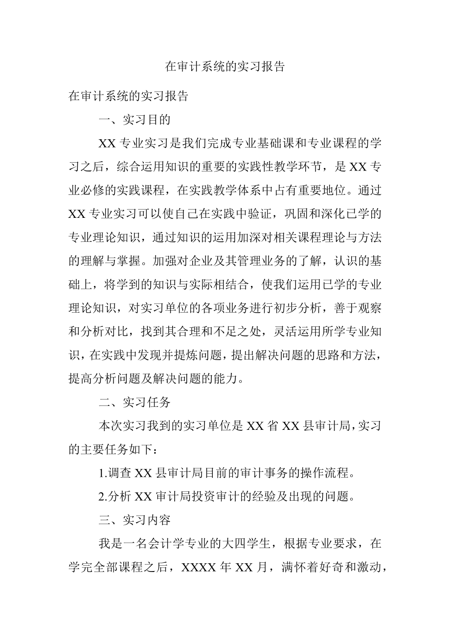 在审计系统的实习报告.docx_第1页