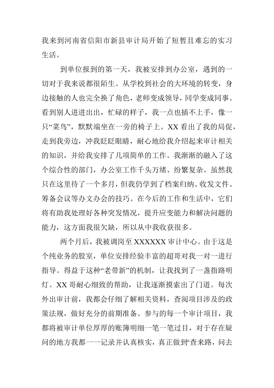 在审计系统的实习报告.docx_第2页