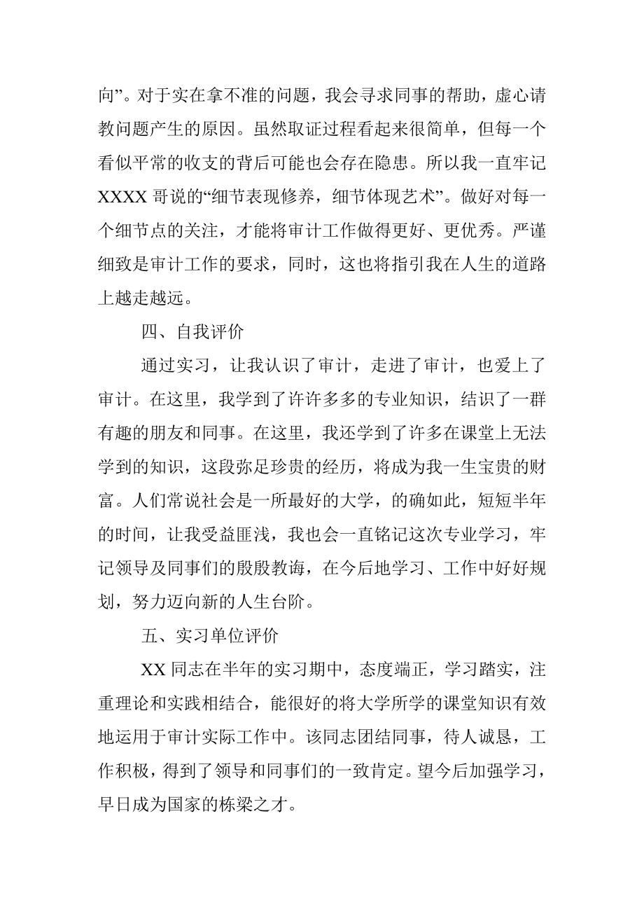 在审计系统的实习报告.docx_第3页