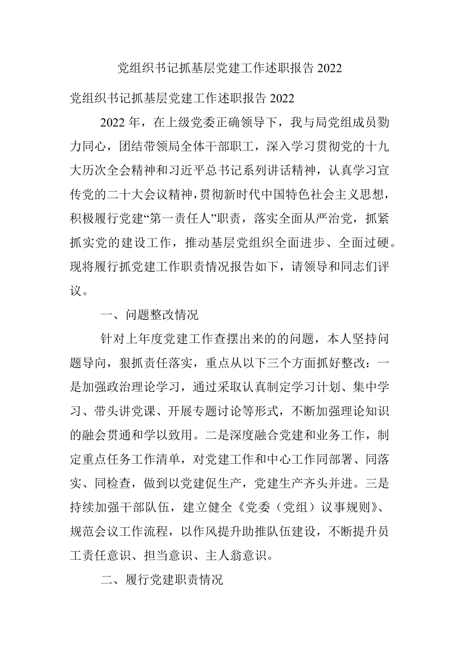 党组织书记抓基层党建工作述职报告2022.docx_第1页