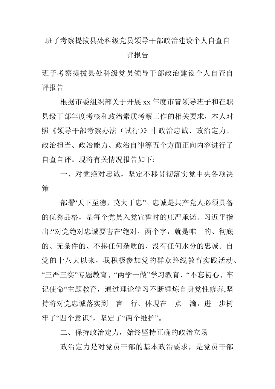 班子考察提拔县处科级党员领导干部政治建设个人自查自评报告.docx_第1页