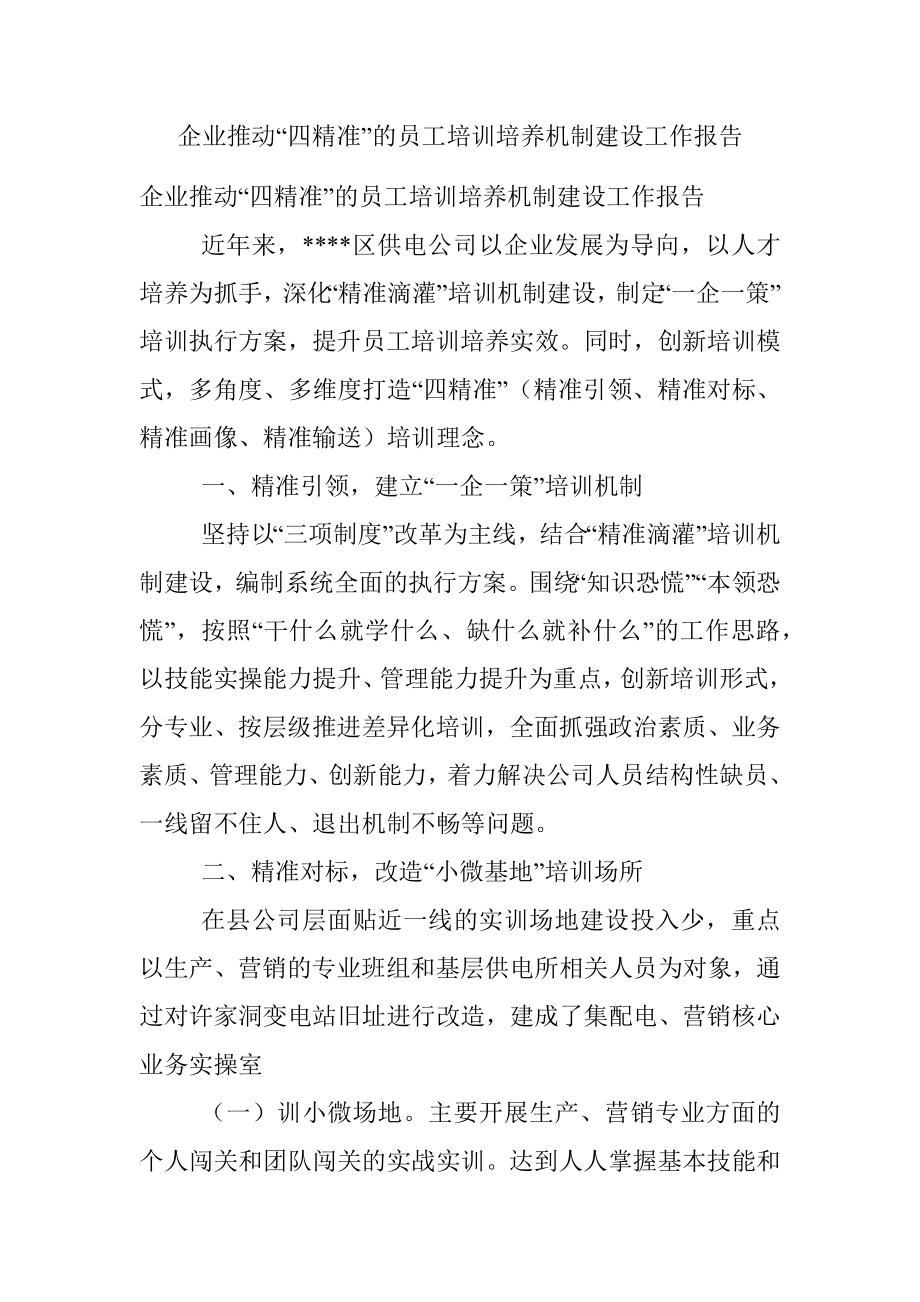 企业推动“四精准”的员工培训培养机制建设工作报告.docx_第1页