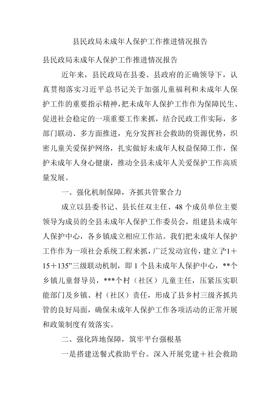 县民政局未成年人保护工作推进情况报告.docx_第1页