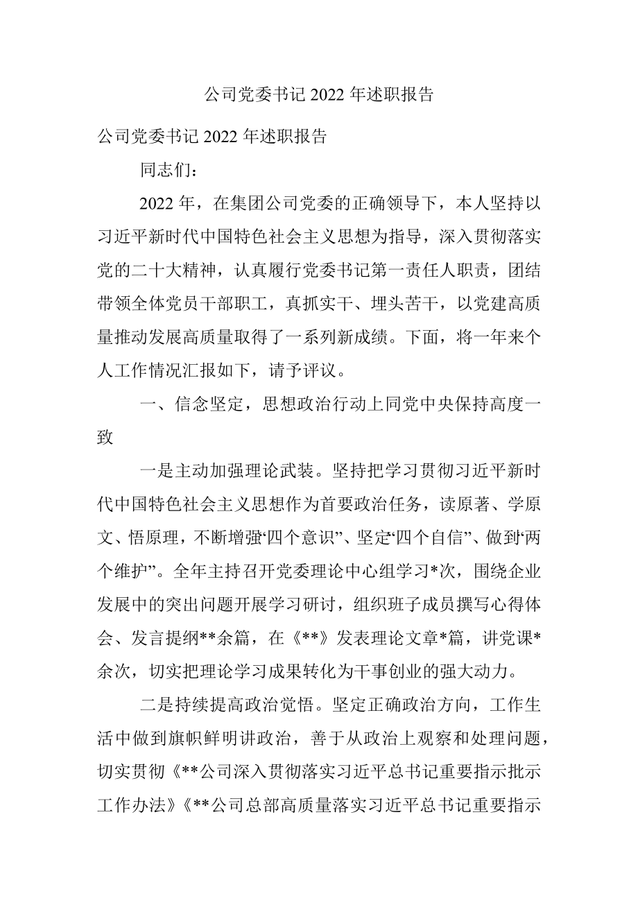 公司党委书记2022年述职报告.docx_第1页