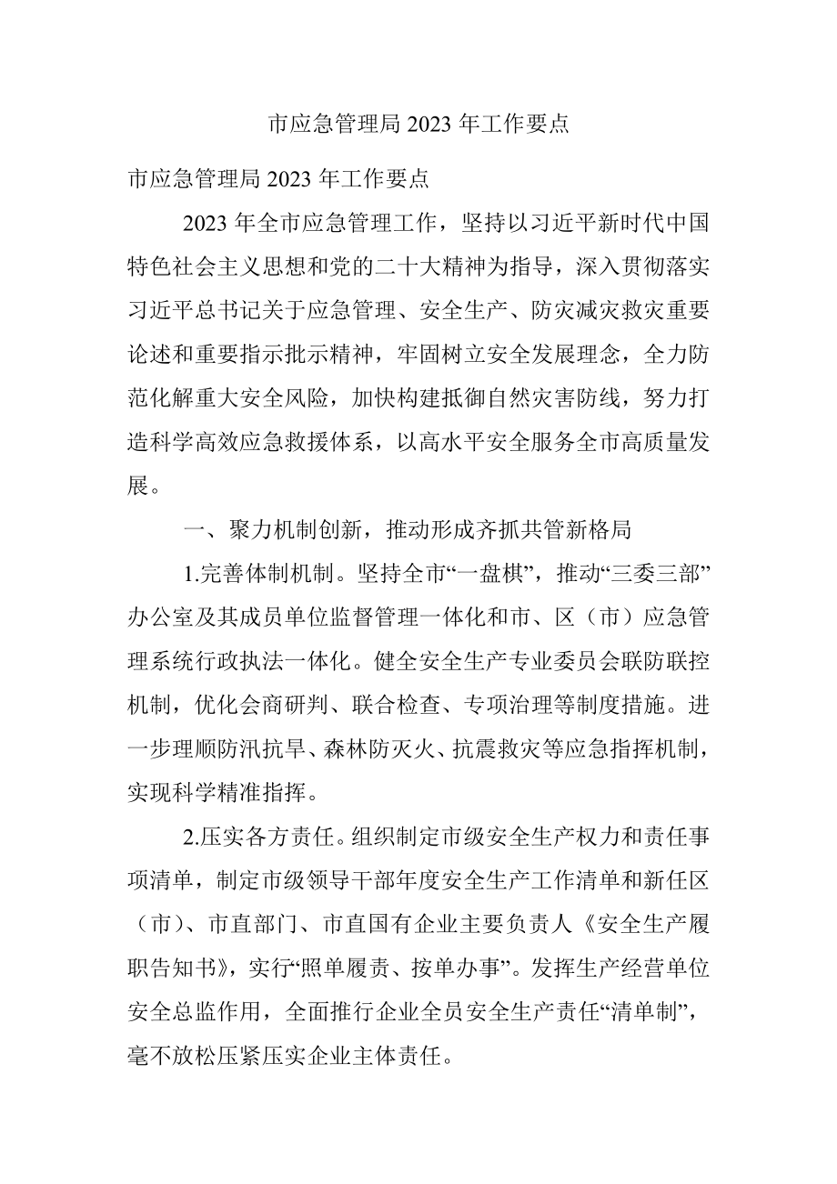 市应急管理局2023年工作要点.docx_第1页