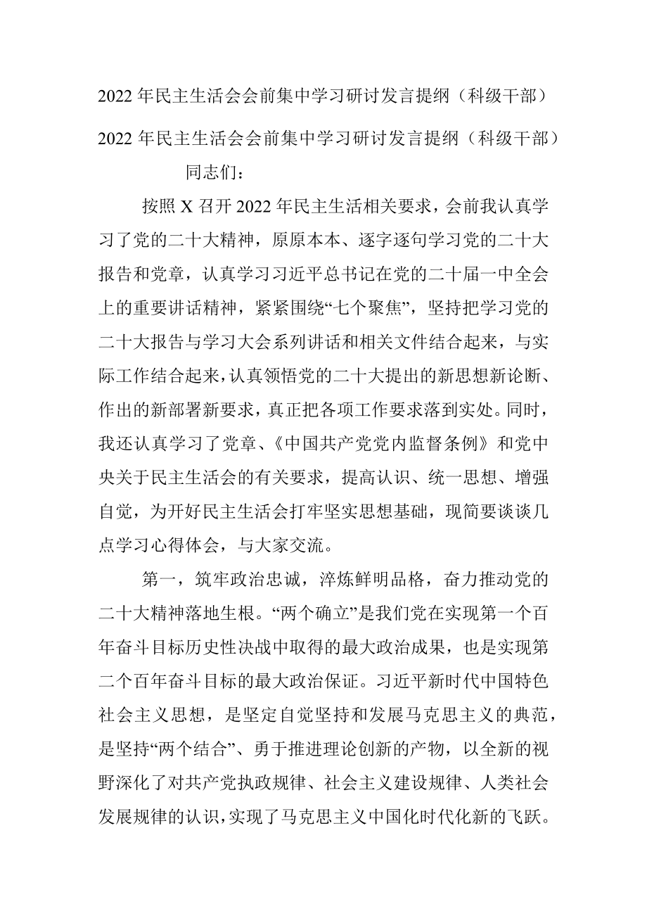 2022年民主生活会会前集中学习研讨发言提纲（科级干部）.docx_第1页