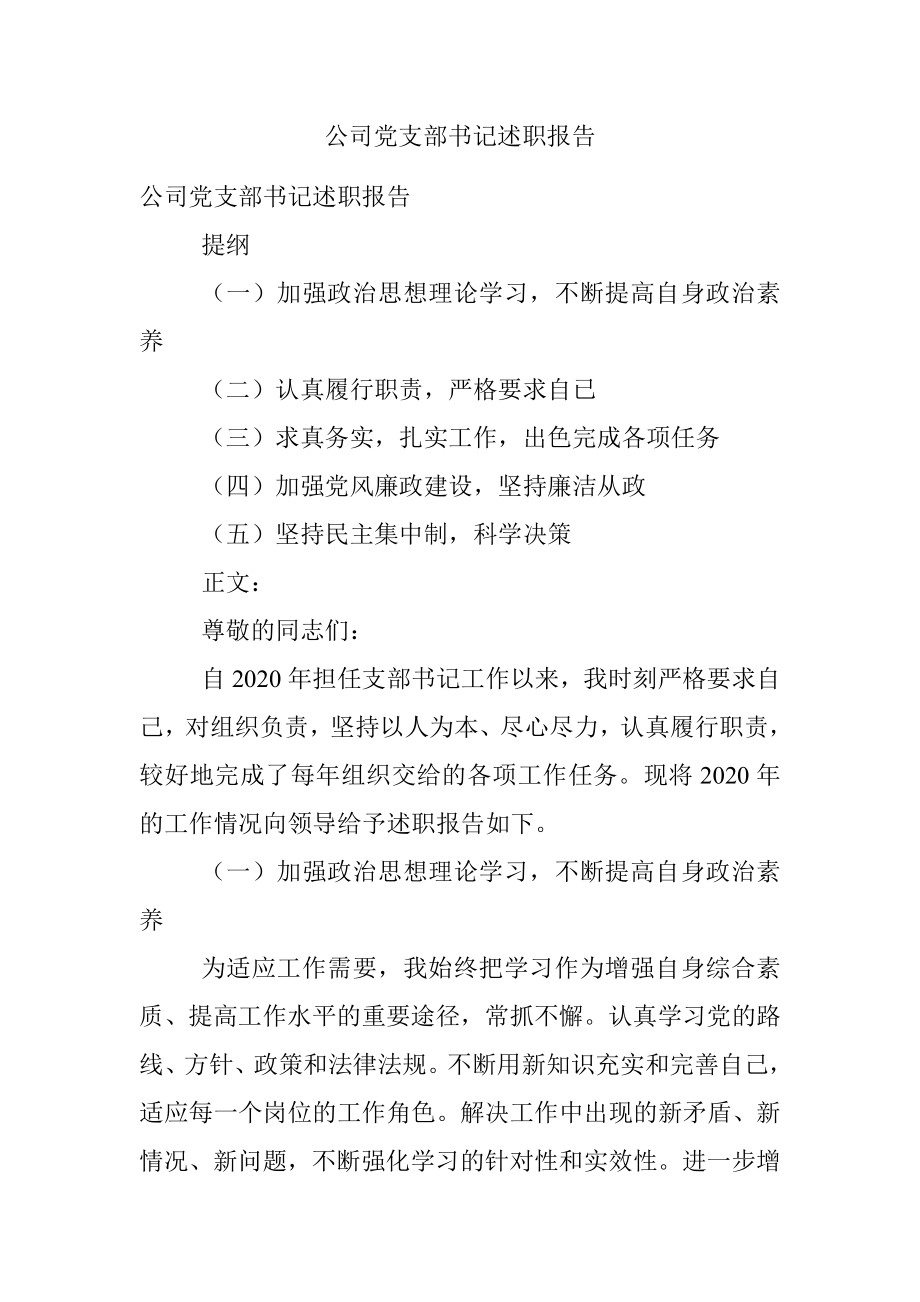 公司党支部书记述职报告.docx_第1页