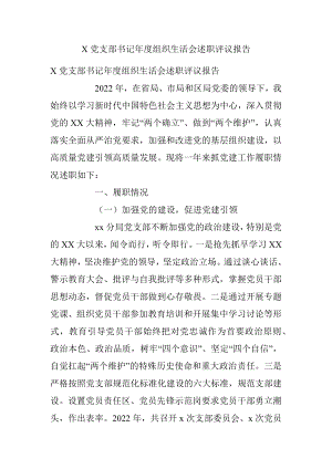 X党支部书记年度组织生活会述职评议报告.docx