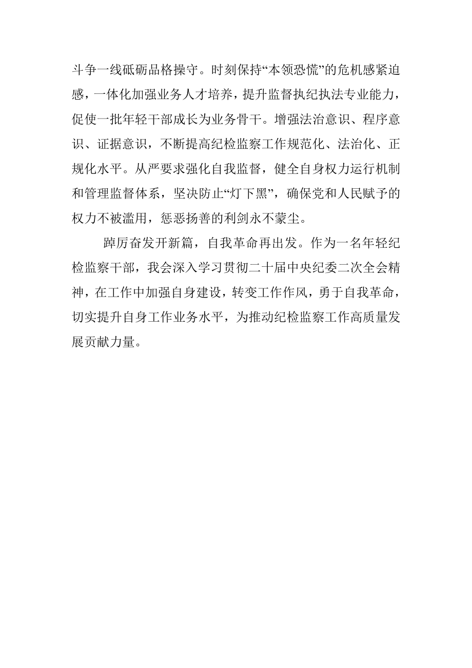 学习二十届中央纪委二次全会精神交流发言.docx_第3页