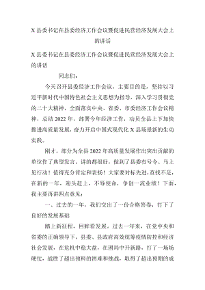 X县委书记在县委经济工作会议暨促进民营经济发展大会上的讲话.docx