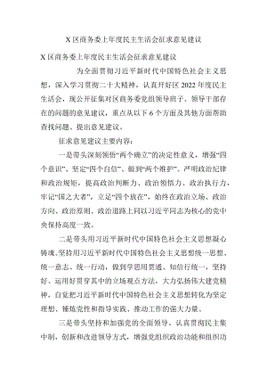 X区商务委上年度民主生活会征求意见建议.docx