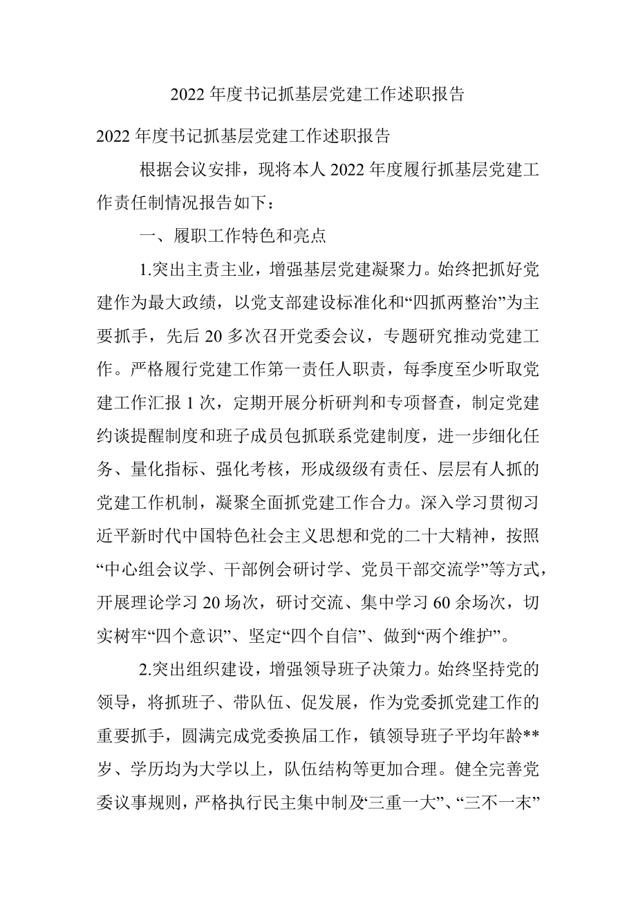 2022年度书记抓基层党建工作述职报告.docx_第1页