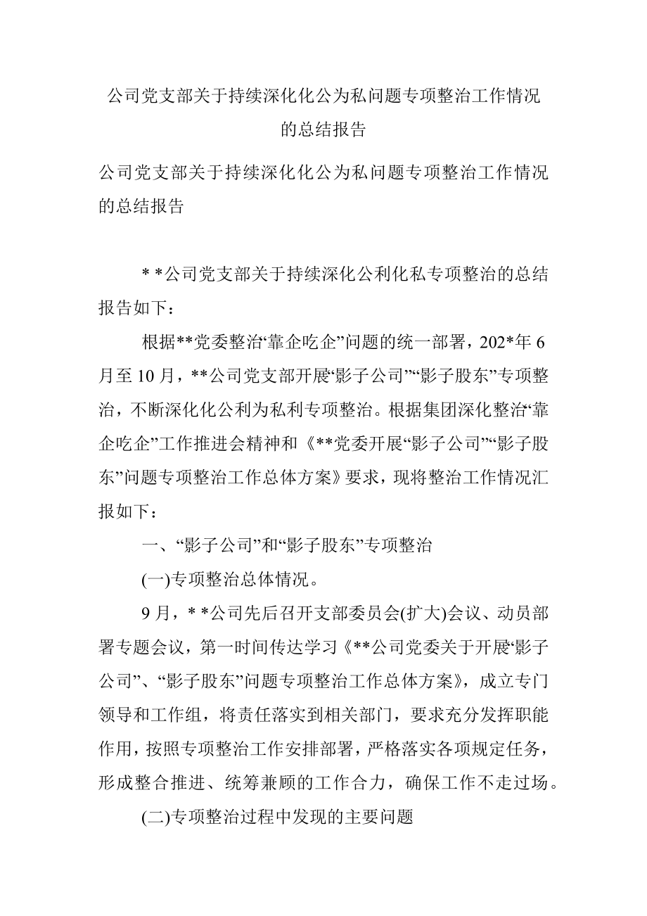 公司党支部关于持续深化化公为私问题专项整治工作情况的总结报告_1.docx_第1页