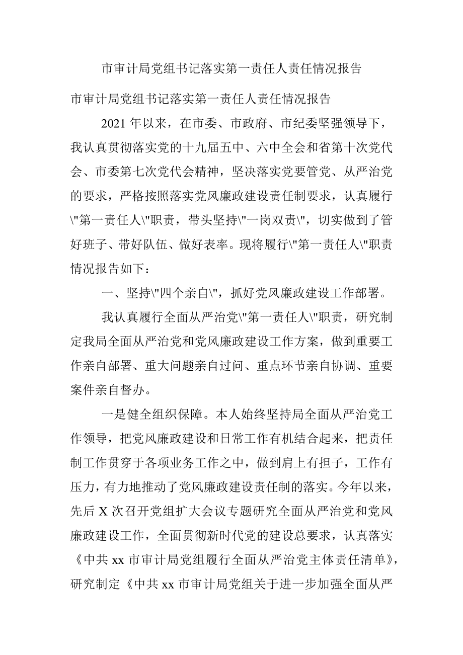 市审计局党组书记落实第一责任人责任情况报告.docx_第1页