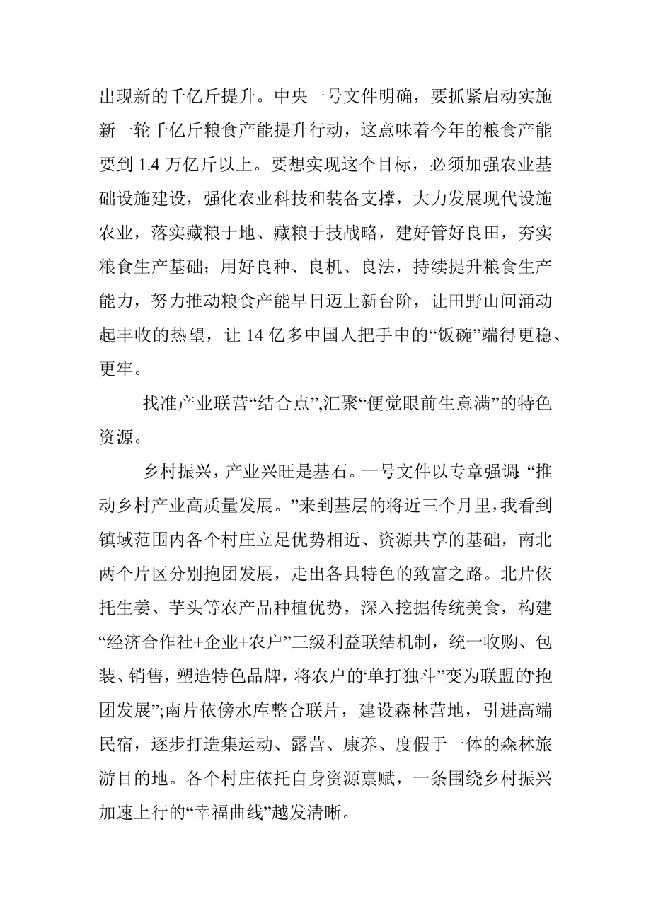 学习贯彻2023年中央一号文件助推乡村振兴打开新局面心得体会.docx_第2页