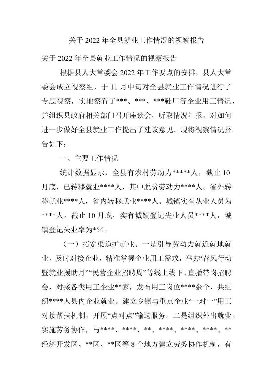 关于2022年全县就业工作情况的视察报告.docx_第1页