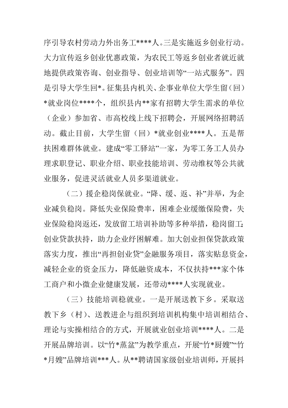 关于2022年全县就业工作情况的视察报告.docx_第2页