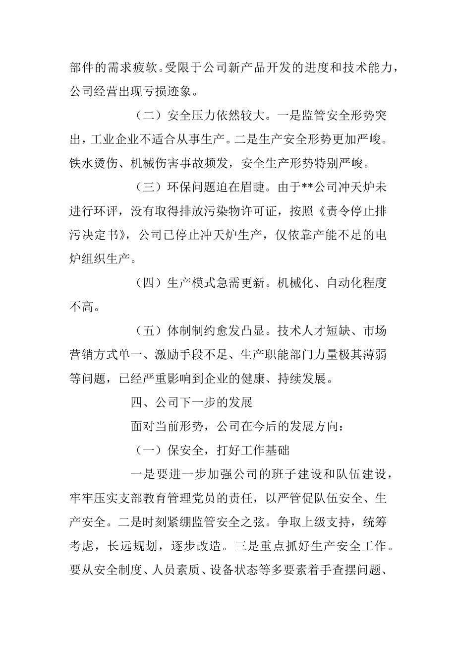 年度公司执行董事工作报告.docx_第3页