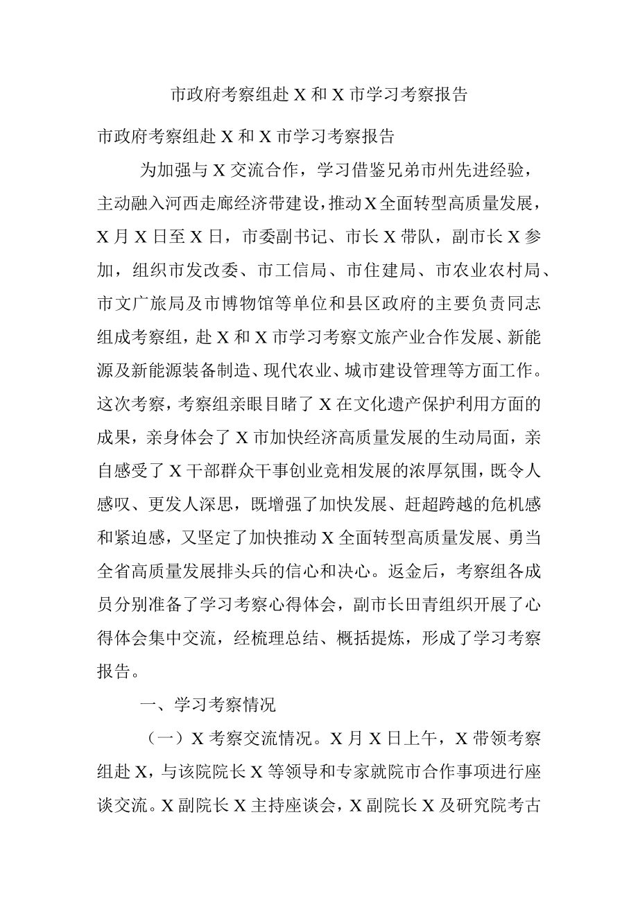 市政府考察组赴X和X市学习考察报告.docx_第1页