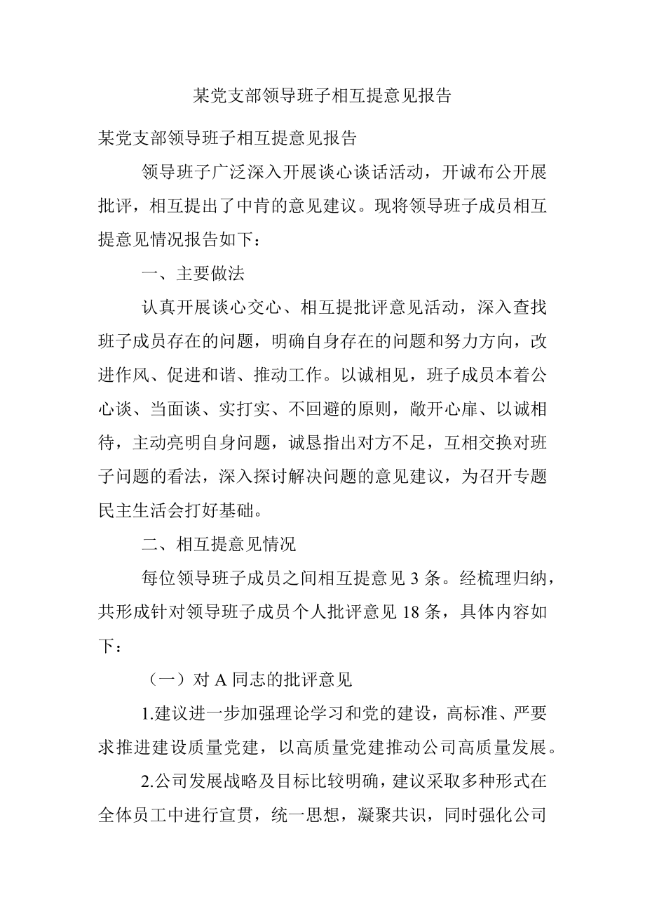 某党支部领导班子相互提意见报告.docx_第1页