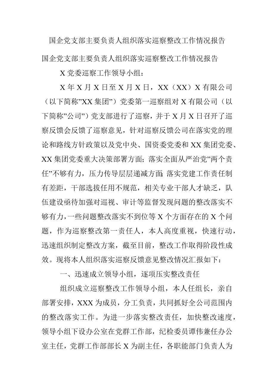 国企党支部主要负责人组织落实巡察整改工作情况报告.docx_第1页