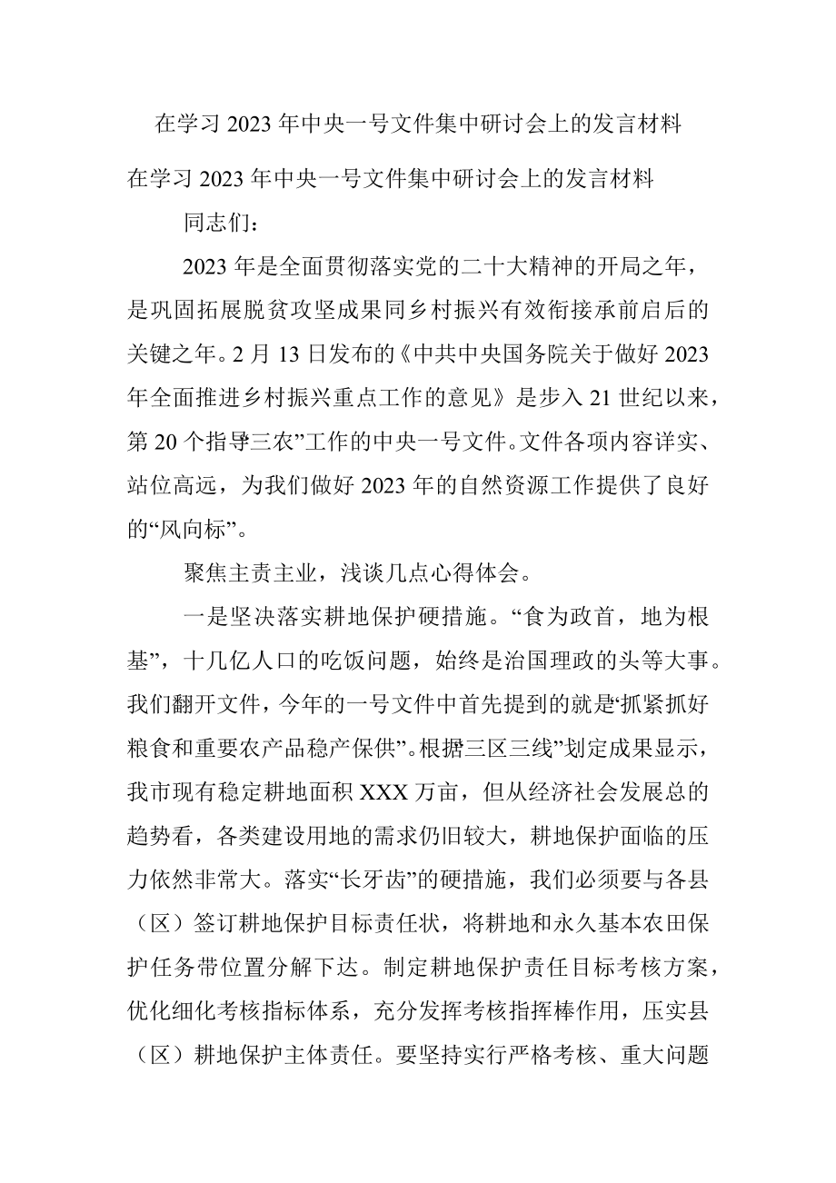 在学习2023年中央一号文件集中研讨会上的发言材料.docx_第1页