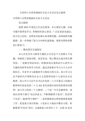 分管国土自然资源副区长民主生活会发言提纲.docx