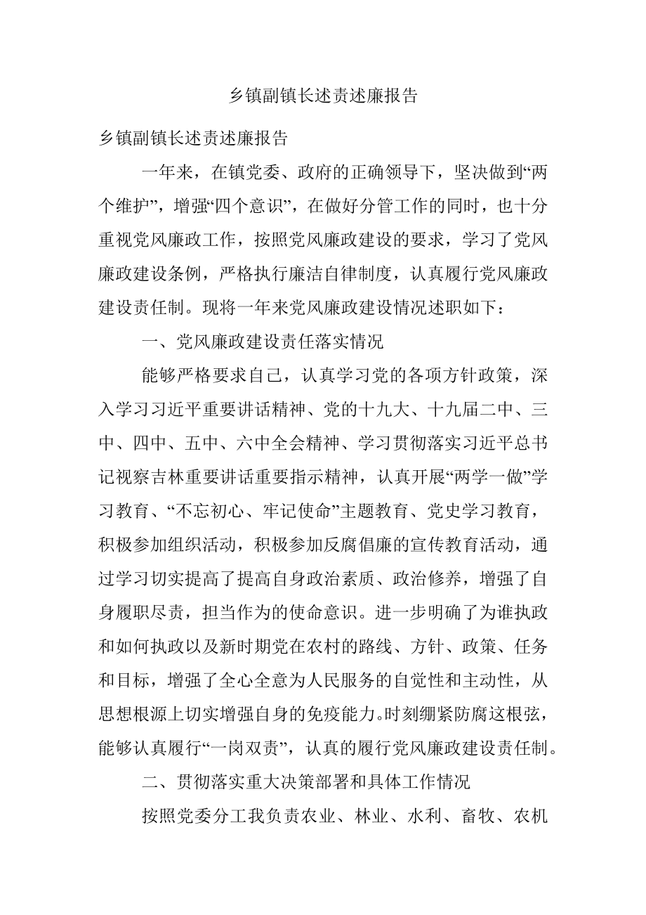 乡镇副镇长述责述廉报告.docx_第1页