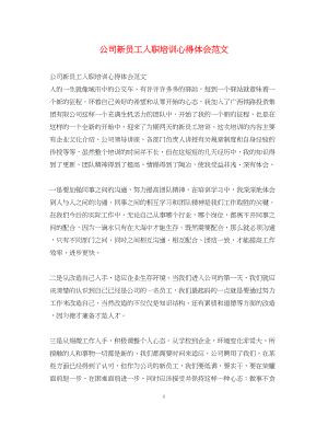 2023公司新员工入职培训心得体会范文.docx