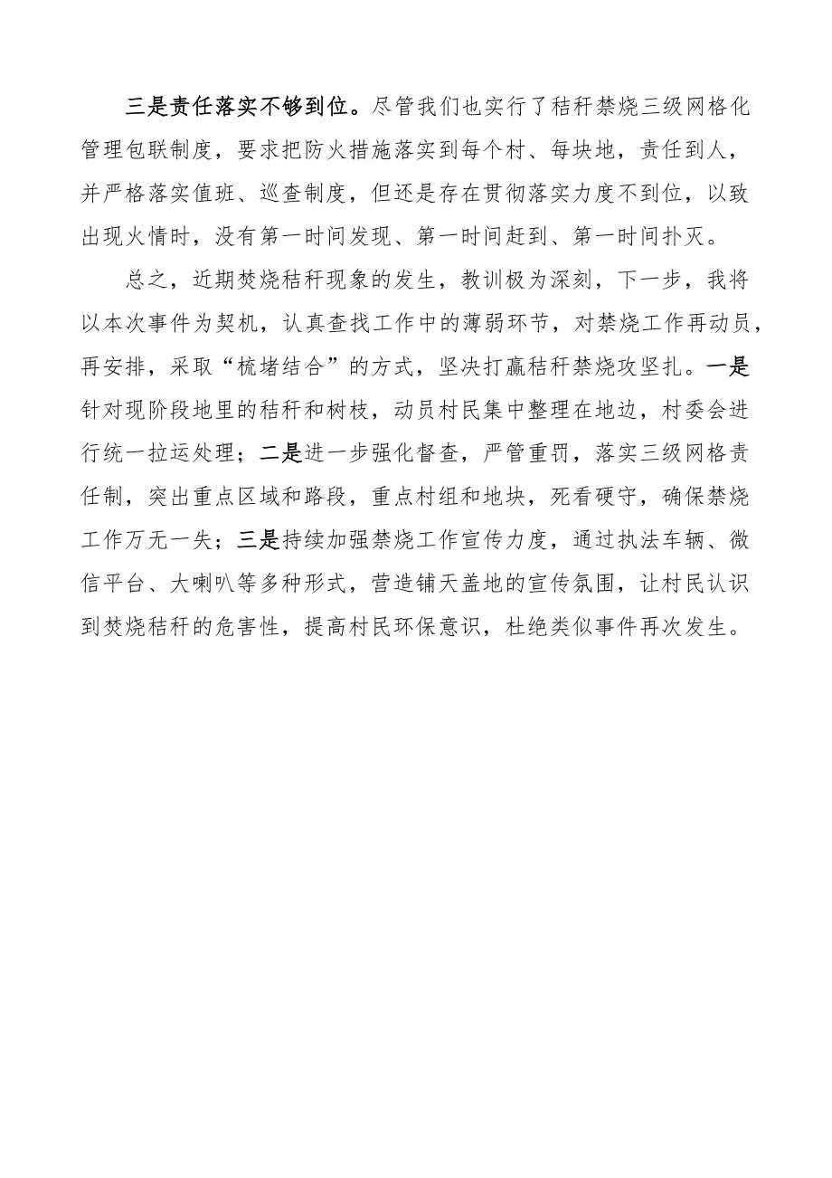 乡镇分管领导秸秆禁烧问题检讨书.docx_第2页