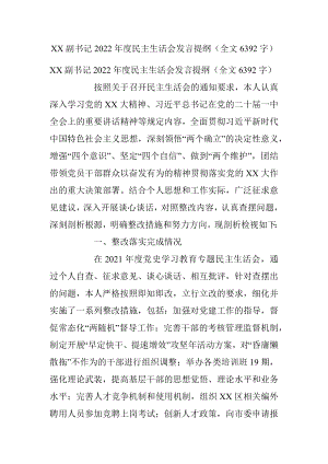 XX副书记2022年度民主生活会发言提纲（全文6392字）.docx