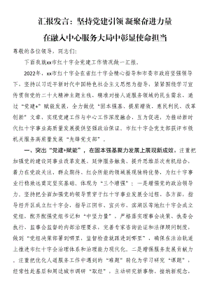 汇报发言：坚持党建引领 凝聚奋进力量 在融入中心服务大局中彰显使命担当 .docx