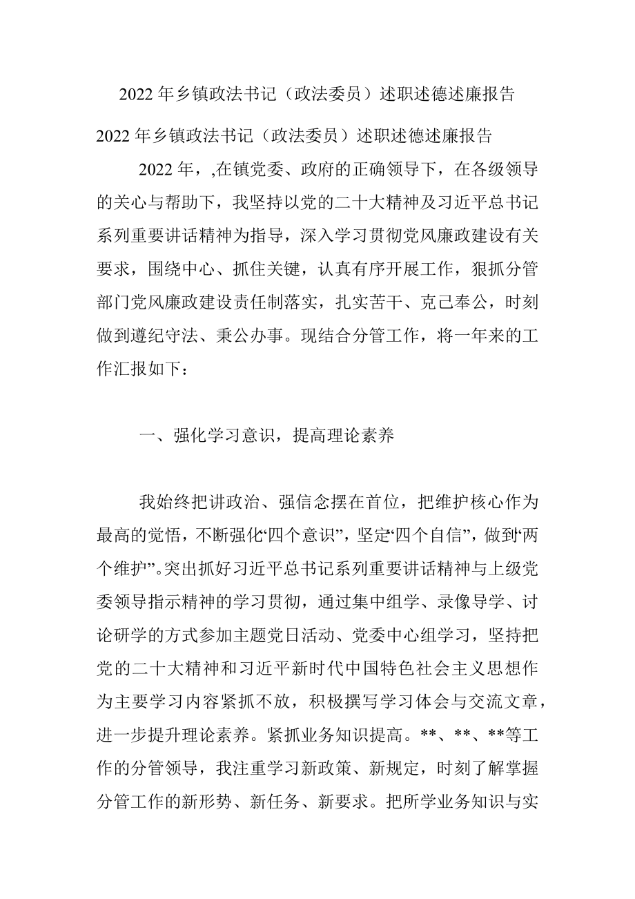 2022年乡镇政法书记（政法委员）述职述德述廉报告_1.docx_第1页