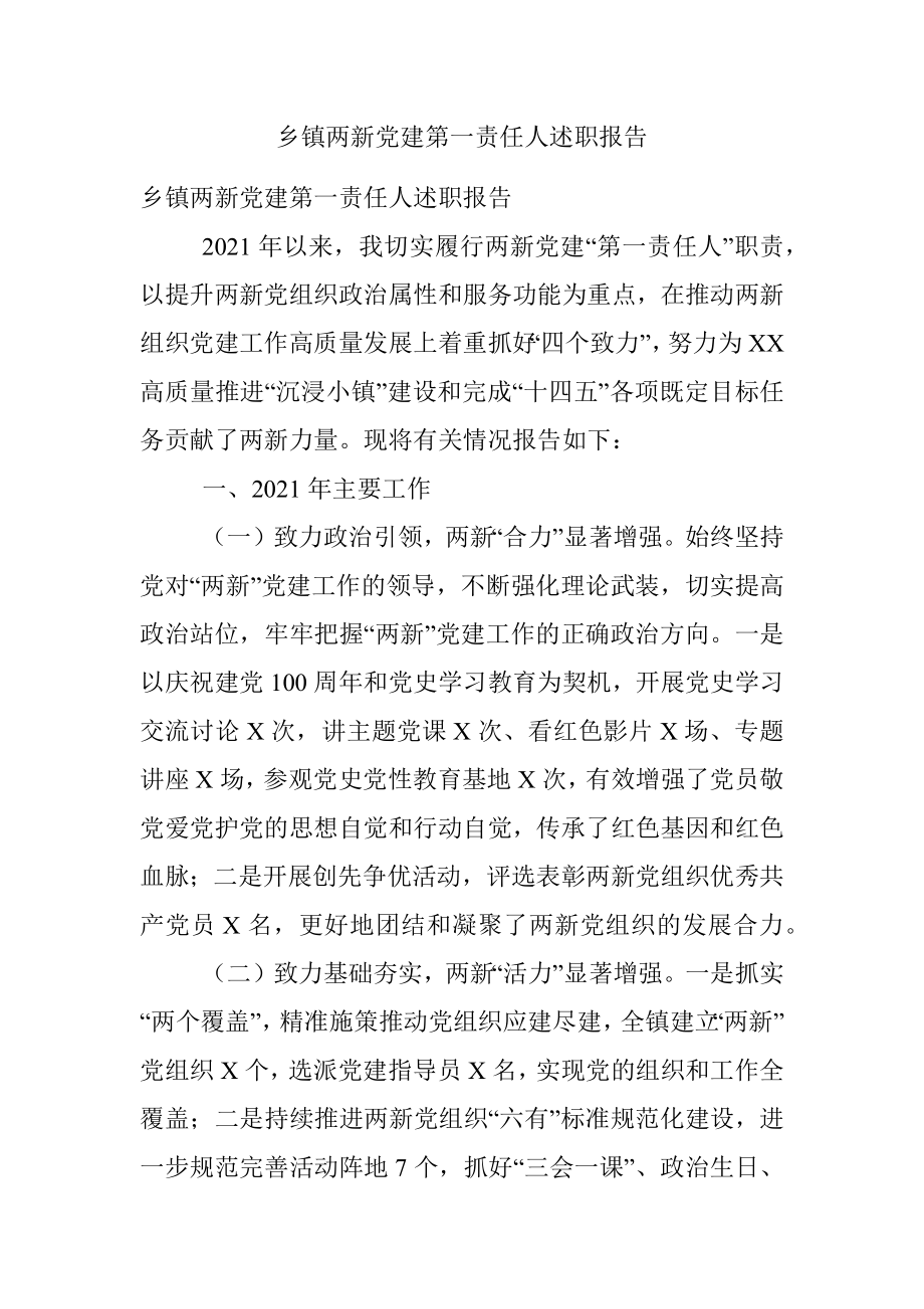 乡镇两新党建第一责任人述职报告.docx_第1页