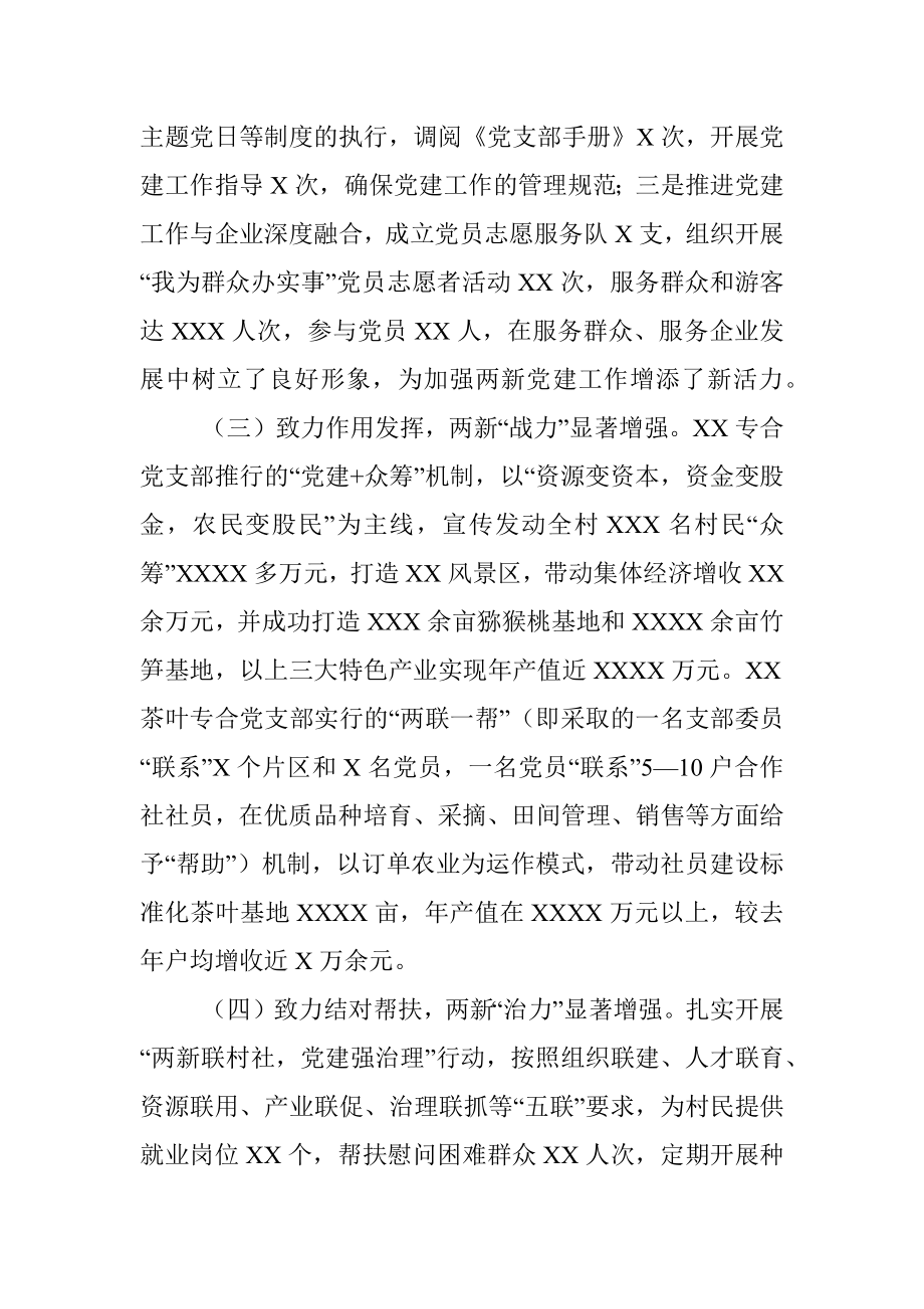 乡镇两新党建第一责任人述职报告.docx_第2页