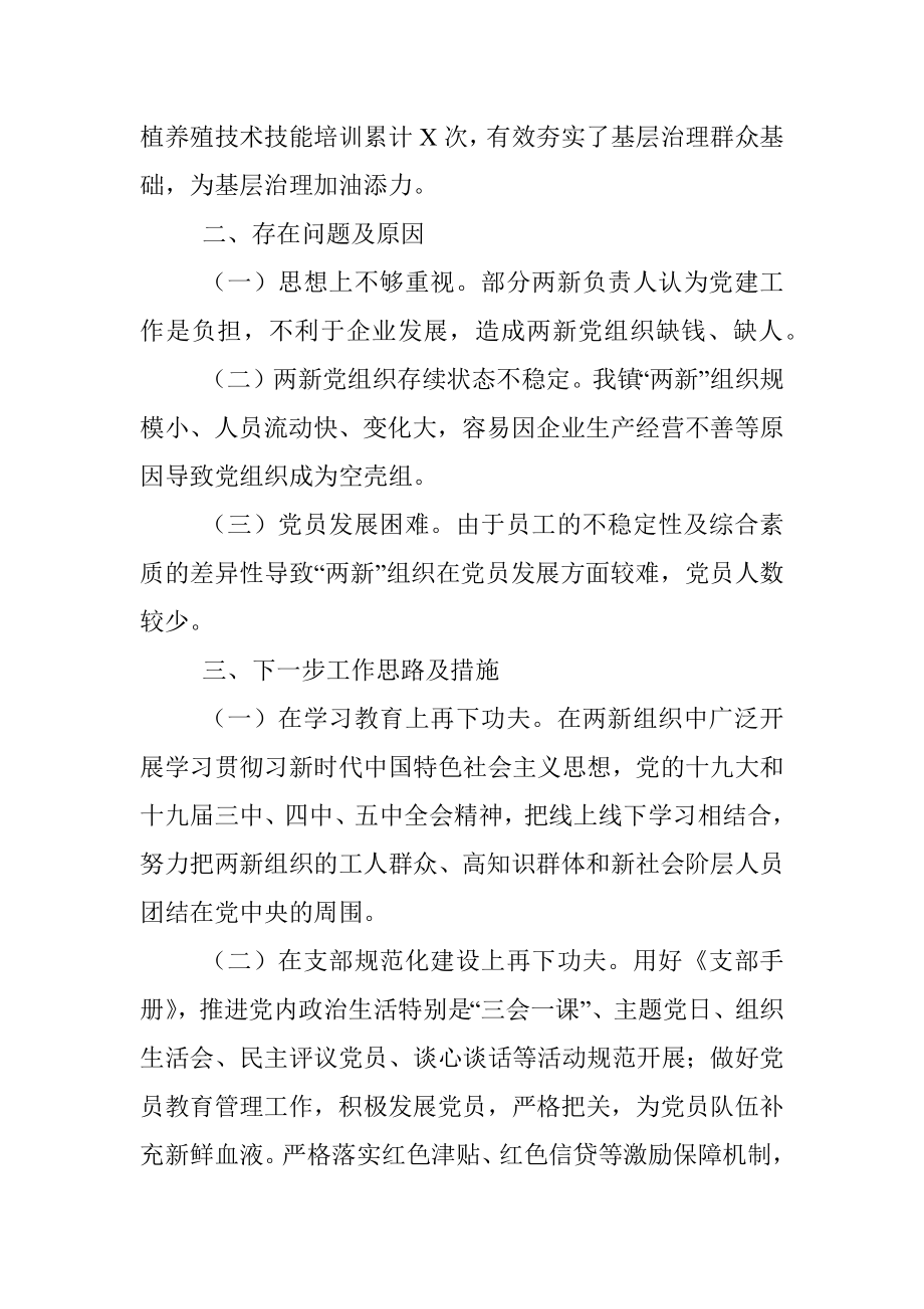 乡镇两新党建第一责任人述职报告.docx_第3页