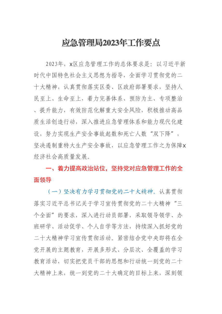 应急管理局2023年工作要点.docx_第1页