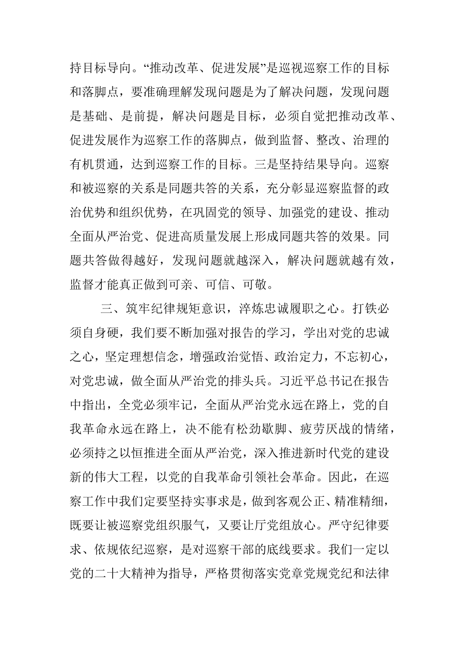 巡察干部学习二十大精神交流研讨材料.docx_第3页